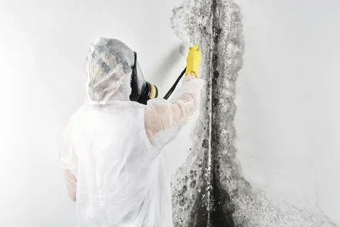 Mold Damage Restoration