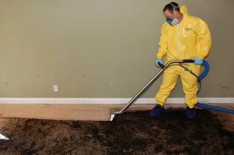 sewage damage Restoration